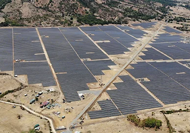 Began global expansion