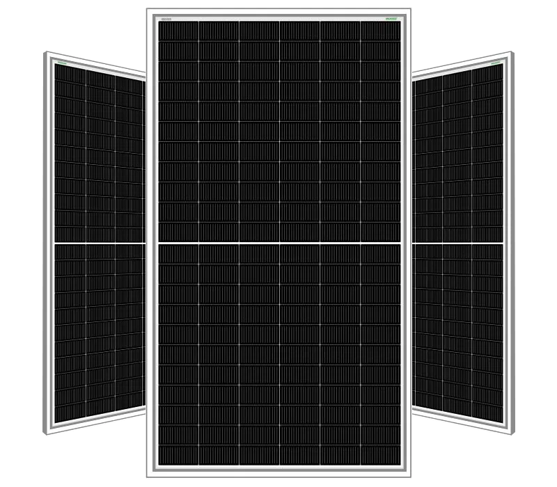 BiN-21 G12R-132 cells