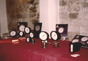 Waaree Instruments founded